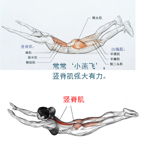 隆回长岭中医医院,隆回颈椎病,隆回腰椎病,隆回关节病,隆回风湿病,隆回股骨头坏死